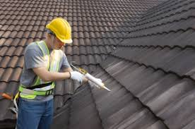 Best Roof Moss and Algae Removal  in Lakeview, WA